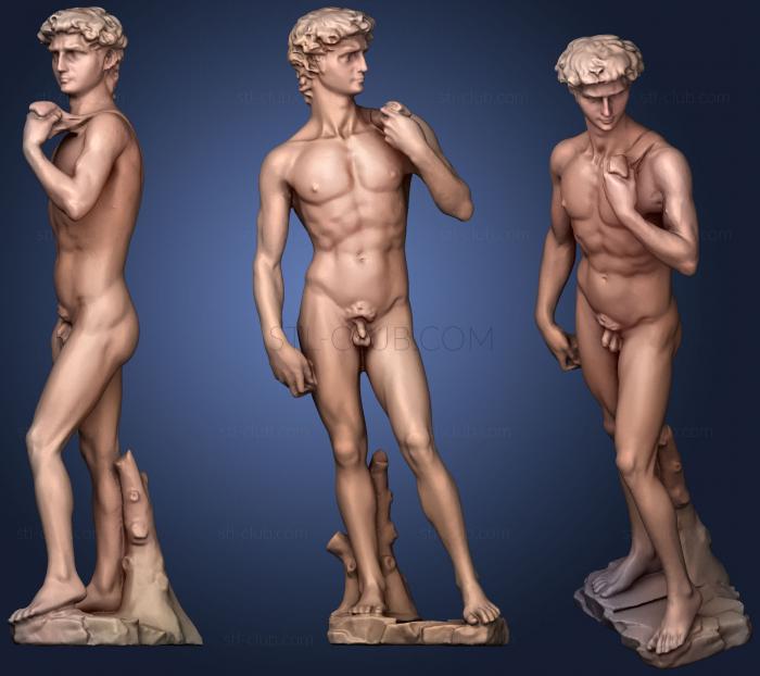 3D model David max (STL)